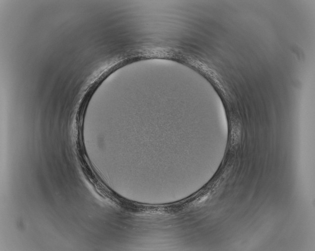 X0000110880674200907301434