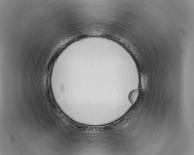 X0000110880675200907301434