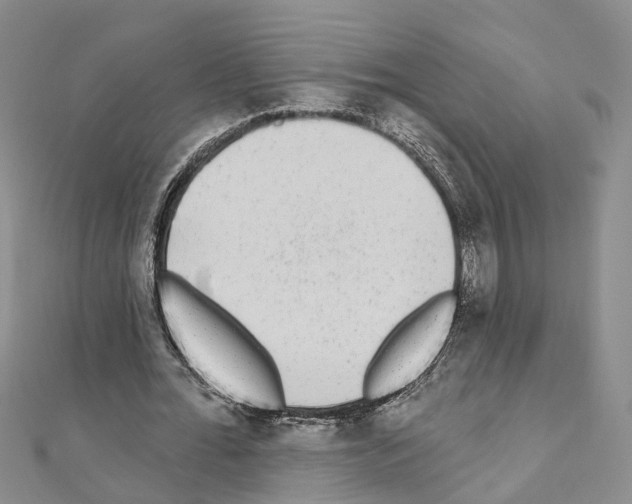 X0000110880676200907301434