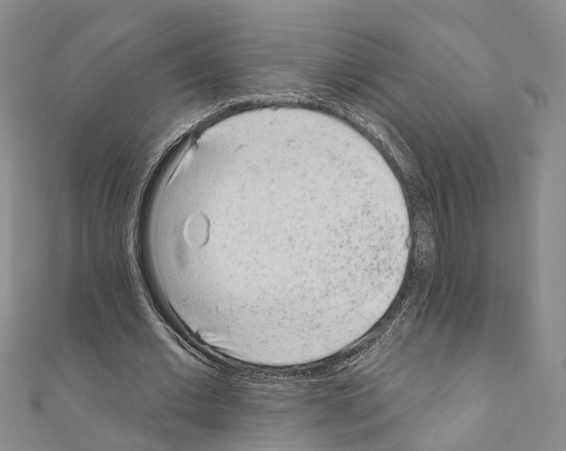 X0000110880677200907301434