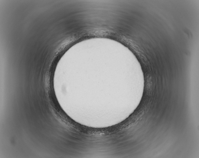 X0000110880679200907301434