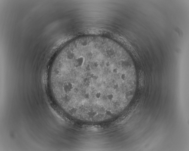 X0000110880683200907301434