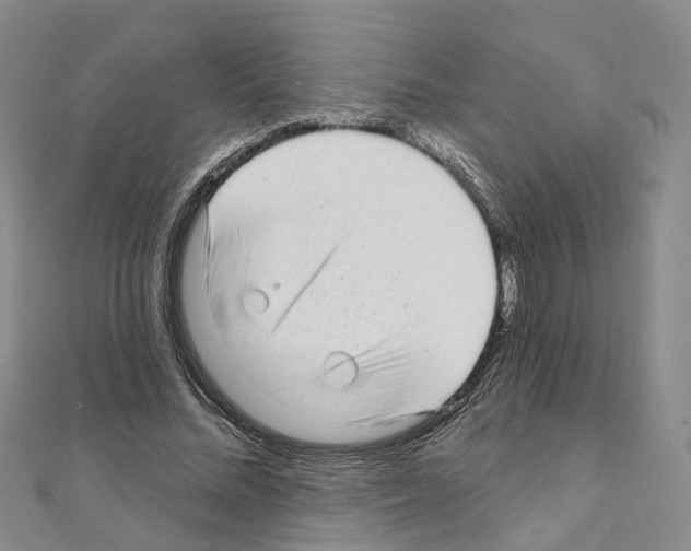 X0000110880684200907301434