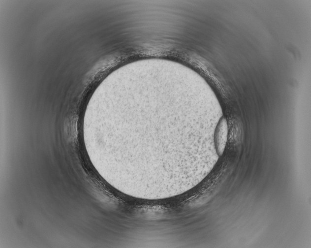 X0000110880685200907301434