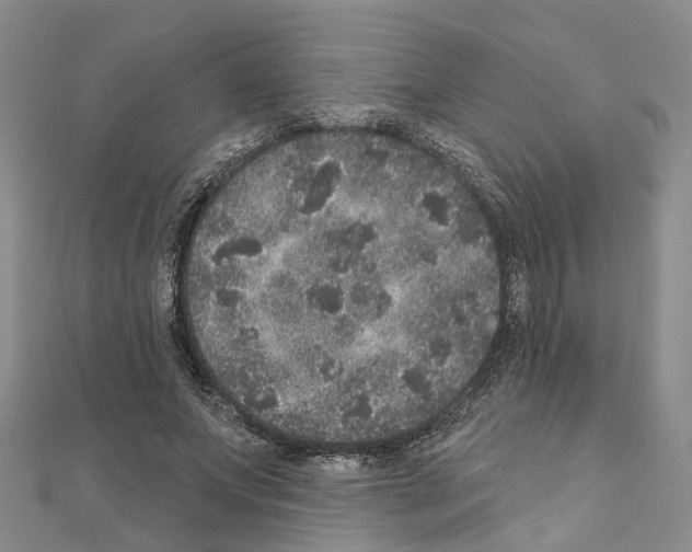 X0000110880687200907301434