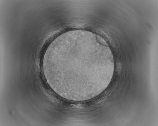 X0000110880688200907301434