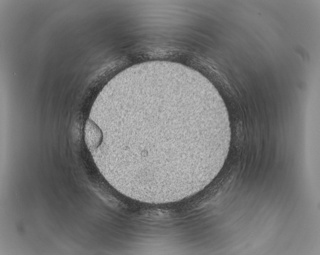 X0000110880691200907301434