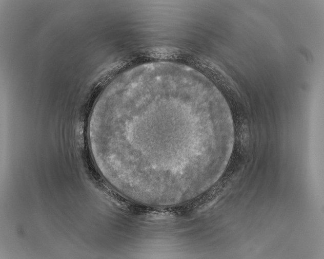 X0000110880696200907301434