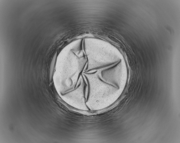 X0000110880701200907301434