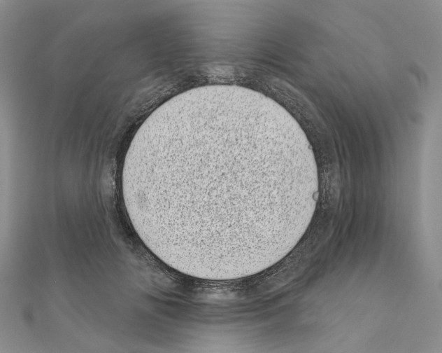 X0000110880702200907301434