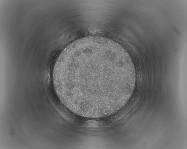 X0000110880703200907301434