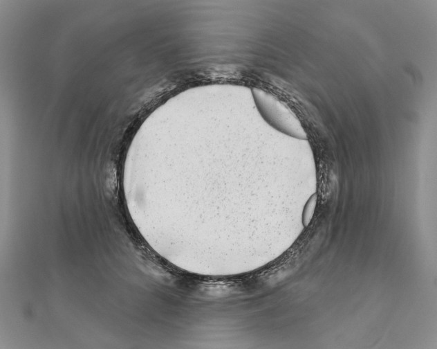 X0000110880704200907301434