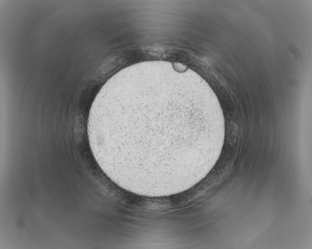 X0000110880707200907301434