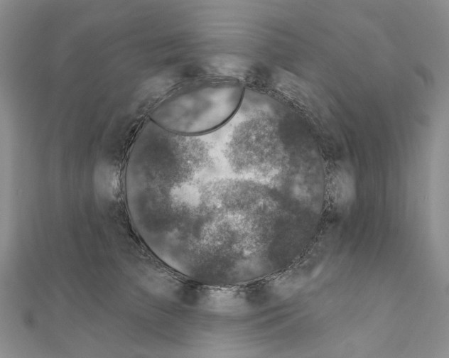 X0000110880709200907301434