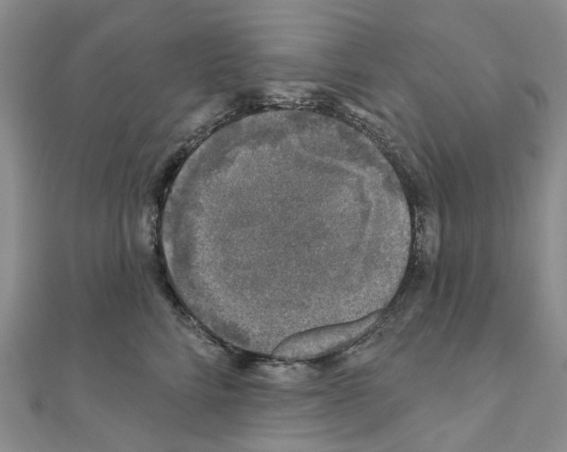 X0000110880712200907301434