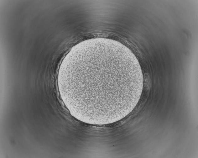 X0000110880713200907301434