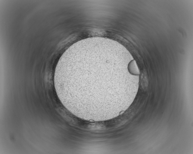 X0000110880714200907301434