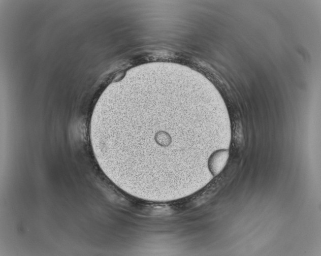 X0000110880715200907301434