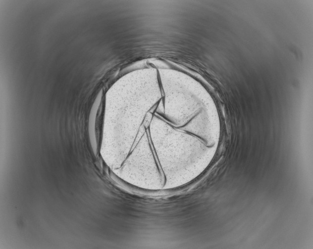 X0000110880716200907301434