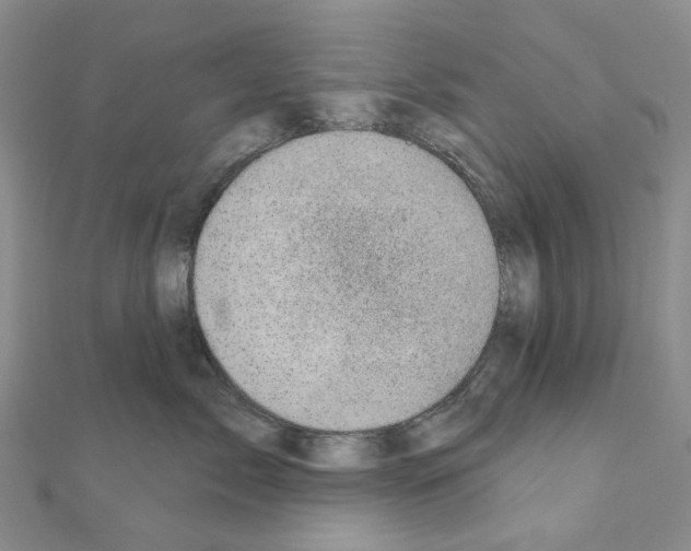 X0000110880717200907301434