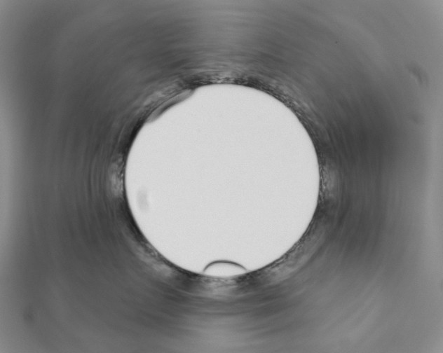 X0000110880719200907301434