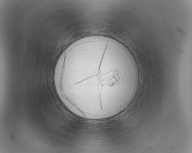 X0000110880720200907301434