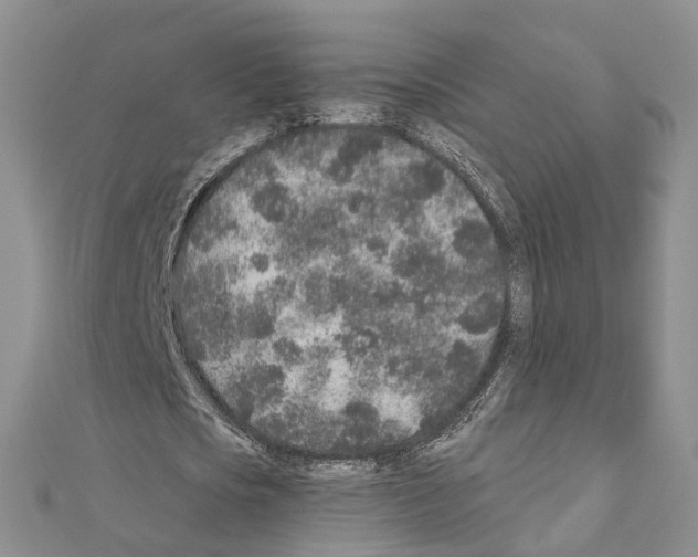 X0000110880721200907301433