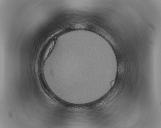 X0000110880722200907301433