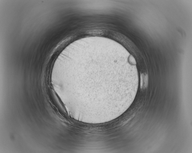 X0000110880723200907301433