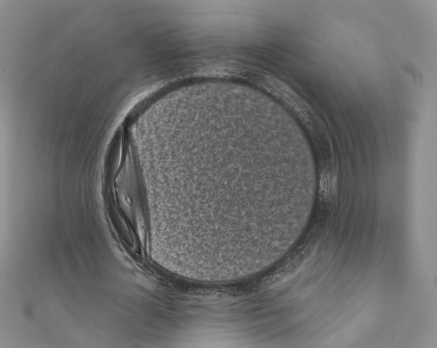 X0000110880724200907301433