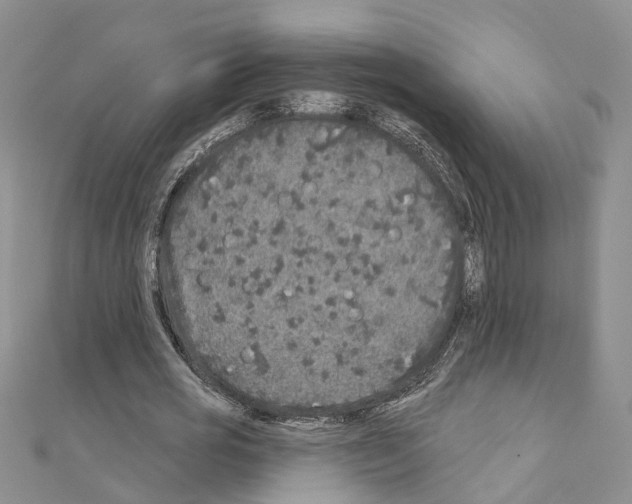 X0000110880725200907301433