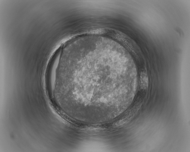 X0000110880726200907301433