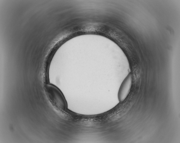 X0000110880728200907301433