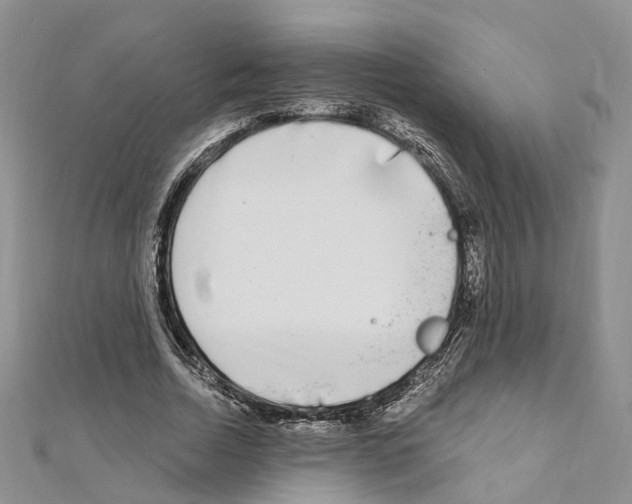 X0000110880730200907301433