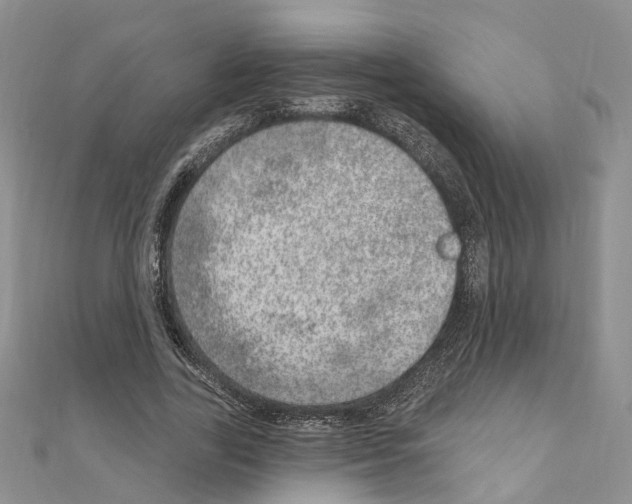 X0000110880731200907301433