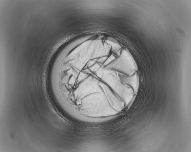 X0000110880732200907301433