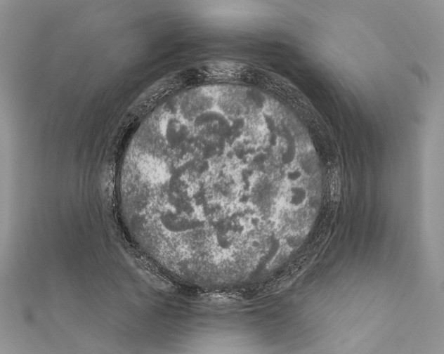 X0000110880737200907301433