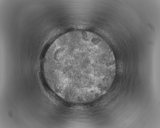 X0000110880738200907301433