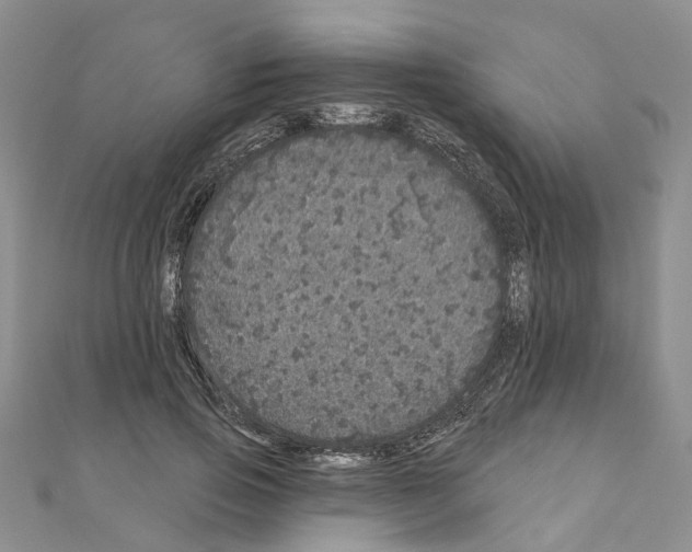 X0000110880741200907301433