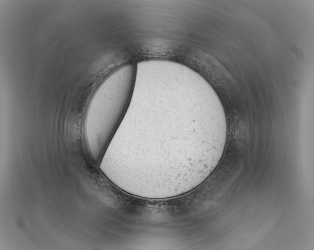 X0000110880744200907301433