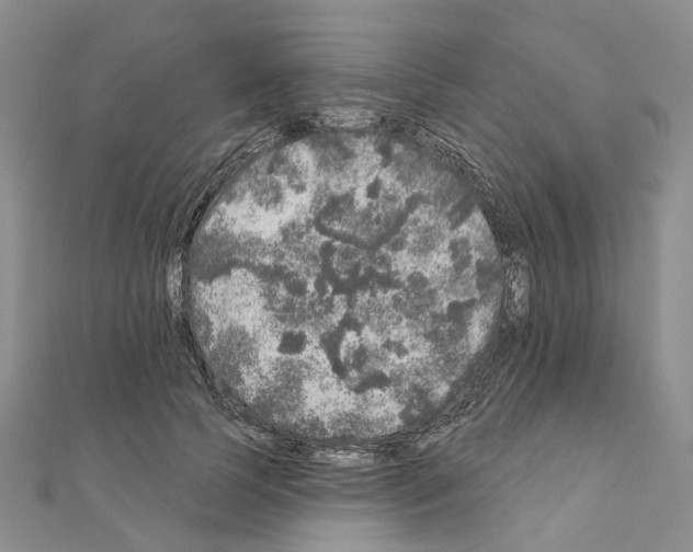 X0000110880745200907301433