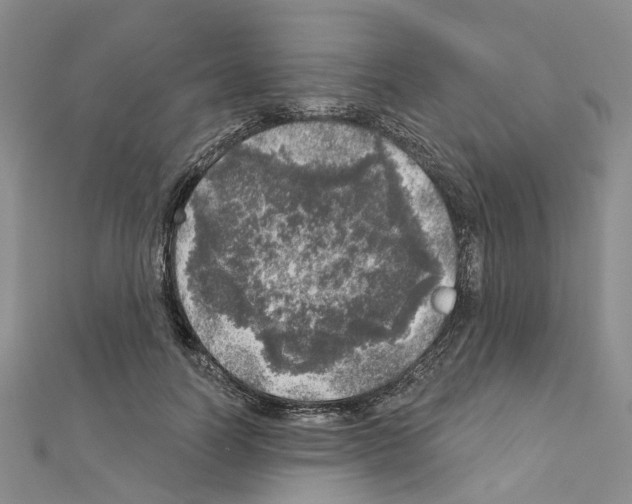 X0000110880746200907301433