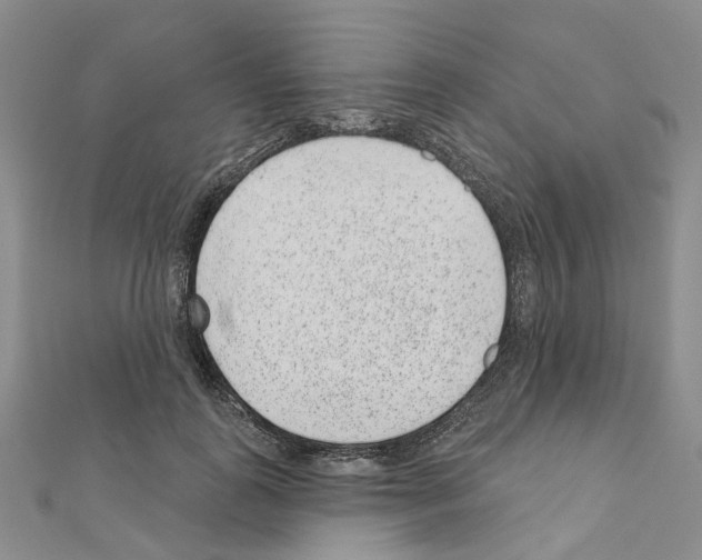 X0000110880747200907301433