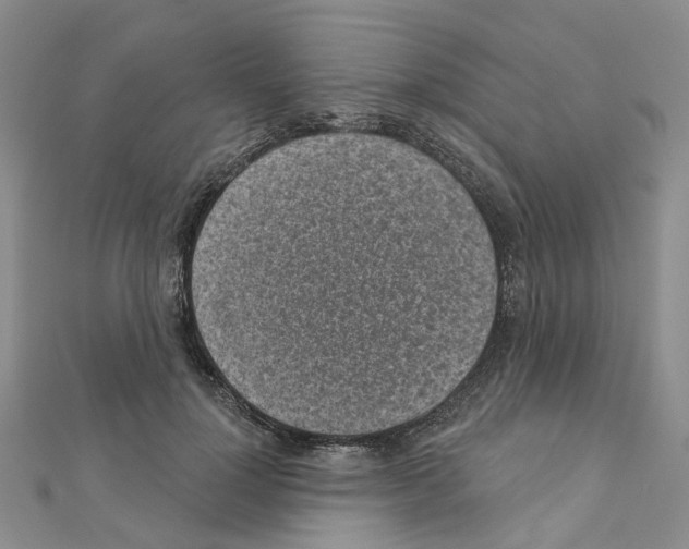 X0000110880748200907301433