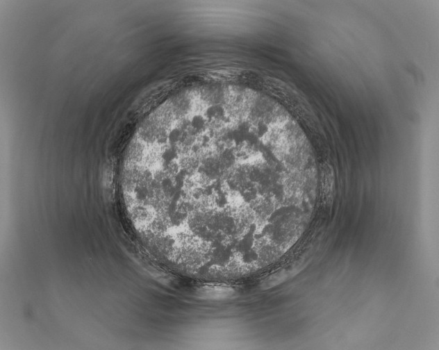 X0000110880749200907301433