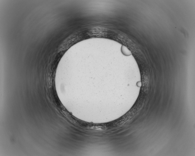 X0000110880751200907301433