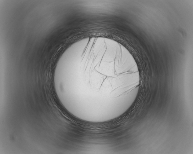 X0000110880752200907301433