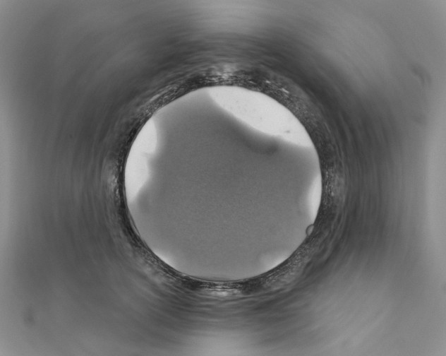 X0000110880754200907301433