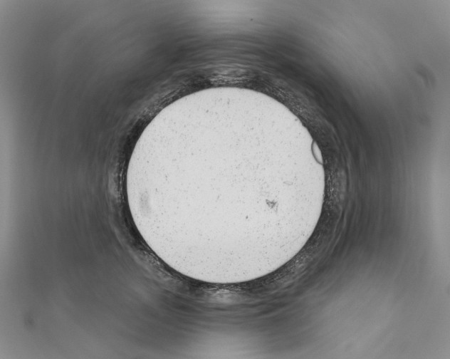 X0000110880755200907301434