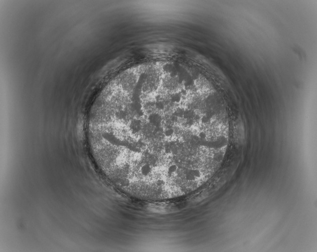 X0000110880757200907301434